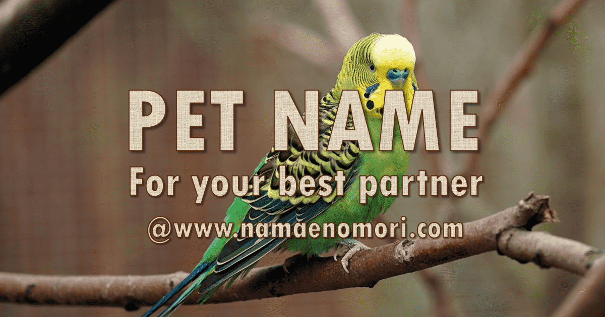 鳥の名前を名付け支援 インコ 文鳥 ヨウム オウム ペット名付け なまえの森