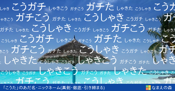 こうた 女性 の 真剣 徹底 引き締まる イメージのあだ名アニメ ニックネーム作成 なまえの森