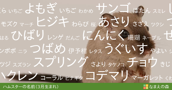 3月生まれのハムスターの名前 ペット名付け なまえの森