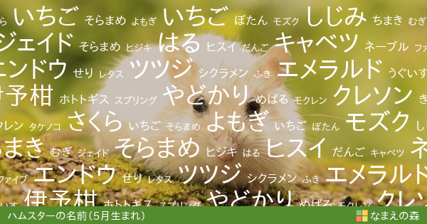 5月生まれのハムスターの名前 男の子 ペット名付け なまえの森