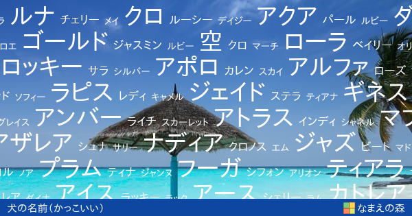 かっこいい犬の名前 女の子 ペット名付け なまえの森