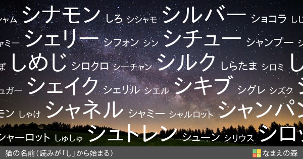 読みが し から始まる猫の名前 女の子 ペット名付け なまえの森