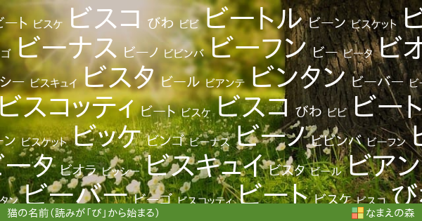 読みが び から始まる猫の名前 女の子 ペット名付け なまえの森