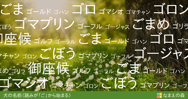 読みが ご から始まる犬の名前 女の子 ペット名付け なまえの森