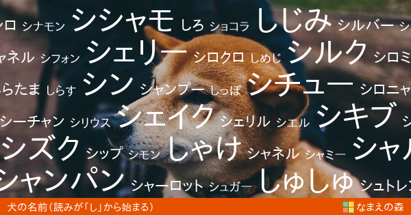 読みが し から始まる犬の名前 女の子 ペット名付け なまえの森