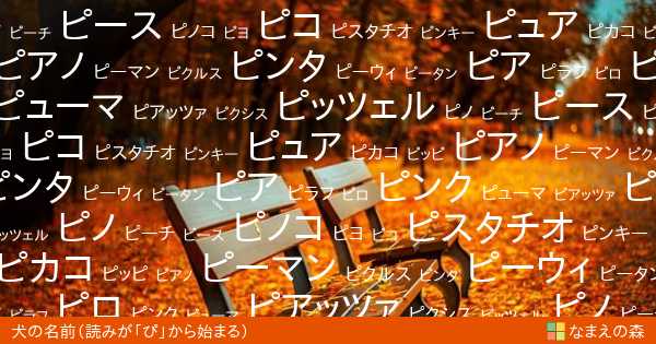 読みが ぴ から始まる犬の名前 女の子 ペット名付け なまえの森