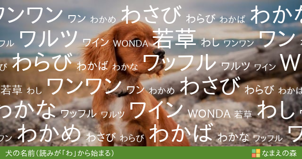 読みが わ から始まる犬の名前 女の子 ペット名付け なまえの森