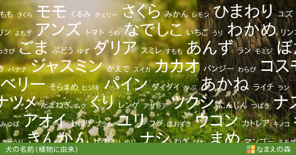 植物に由来する犬の名前 女の子 ペット名付け なまえの森