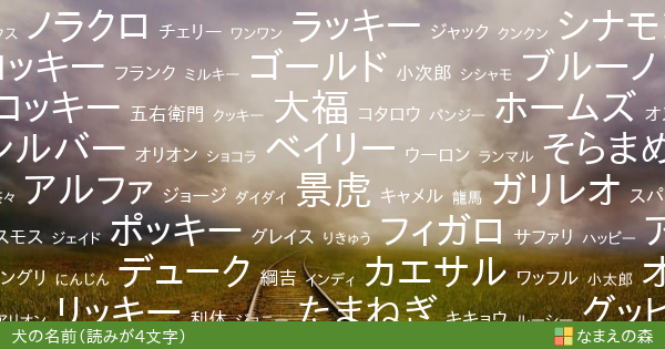 読みが4文字の犬の名前 男の子 ペット名付け なまえの森