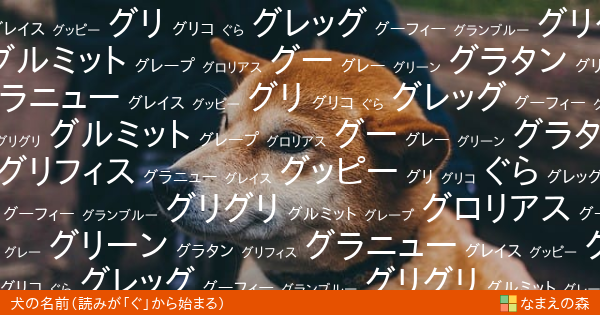 読みが ぐ から始まる犬の名前 男の子 ペット名付け なまえの森