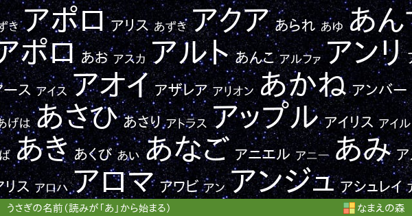 読みが あ から始まるうさぎの名前 女の子 ペット名付け なまえの森