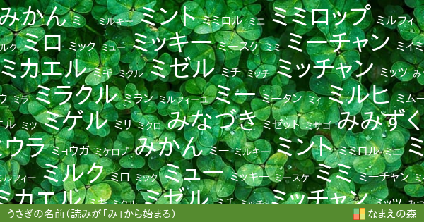 読みが み から始まるうさぎの名前 男の子 ペット名付け なまえの森