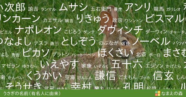 有名人に由来するうさぎの名前 男の子 ペット名付け なまえの森