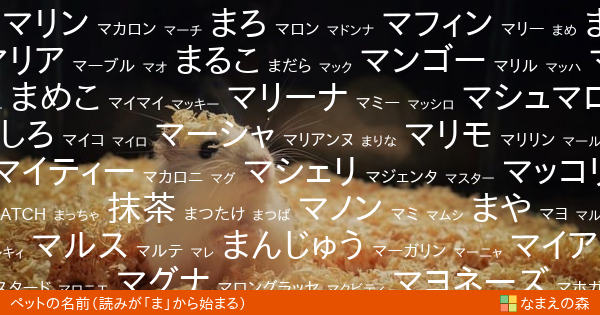 読みが ま から始まるペットの名前 女の子 ペット名付け なまえの森